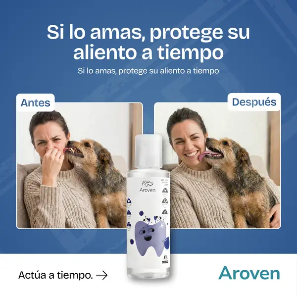 Ad creative portfolio piece