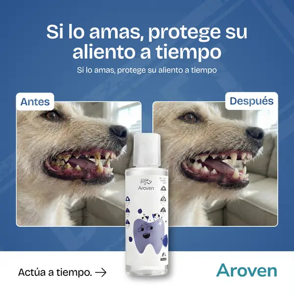 Ad creative portfolio piece