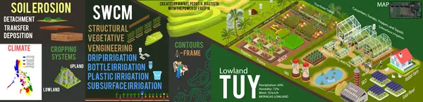 Infographic portfolio piece