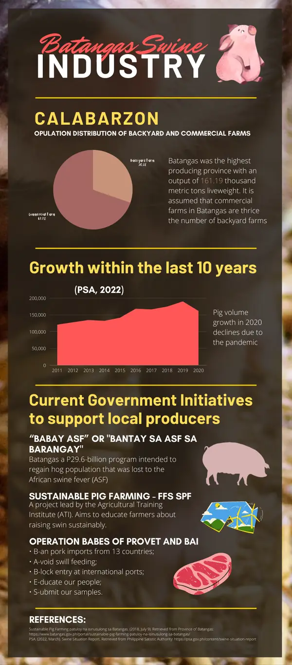 Infographic portfolio piece