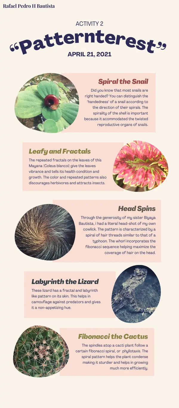 Infographic portfolio piece