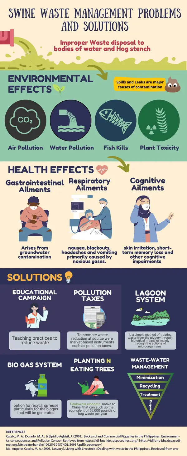 Infographic portfolio piece
