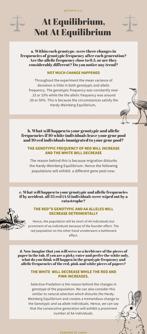 Infographic portfolio piece
